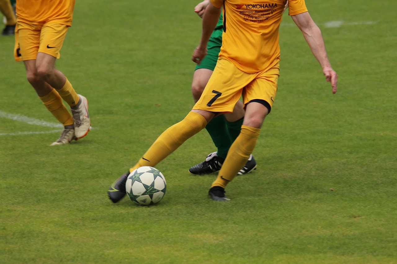 属于自己的 属于自己的