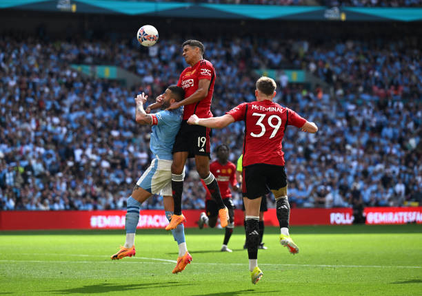 这种文化的 这种文化的