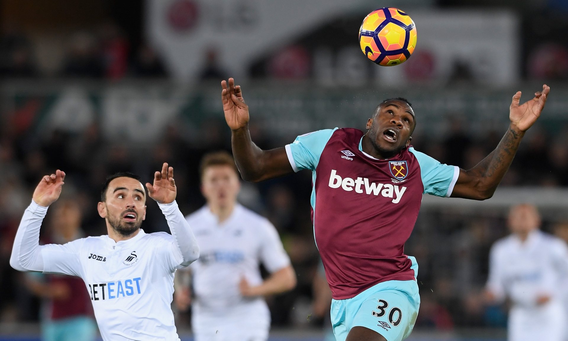 谢林孝埈为 谢林孝埈为